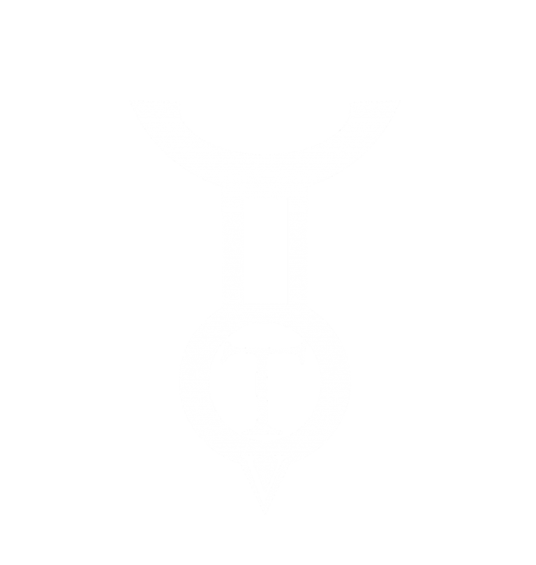 Time Venture